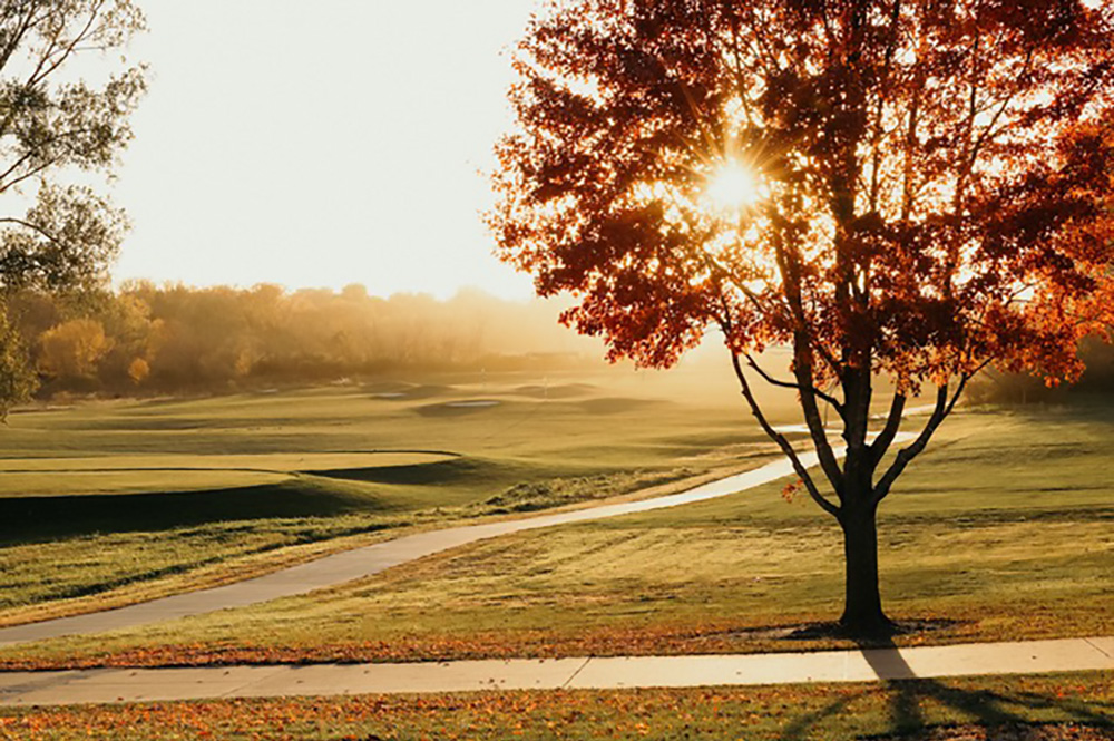 Golf gallery02